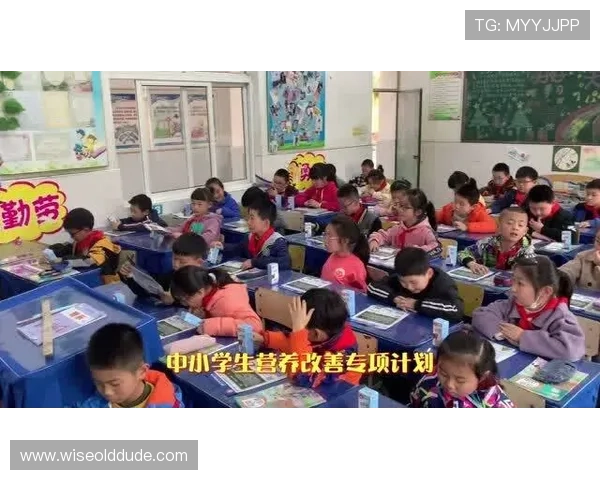 bob官方体育积极布局青少年体育推广计划促进青少年健康成长