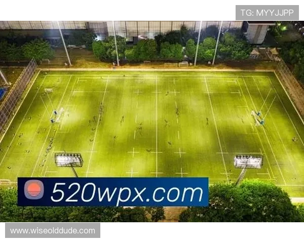 开云体育中国:实现中国体育市场多元化发展的重要平台 开云体育中国:实现中国体育市场多元化发展的重要平台