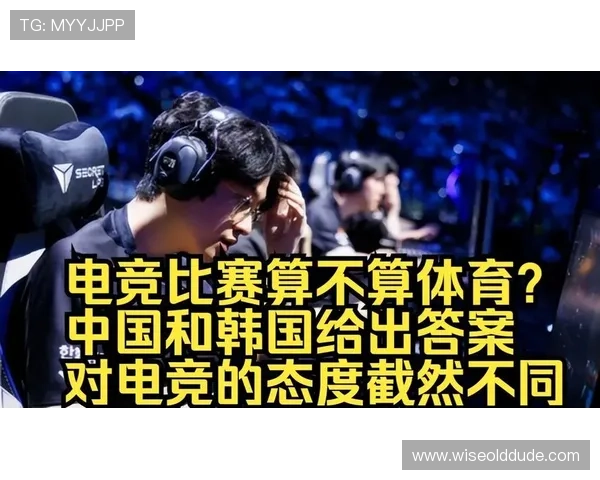 B sports在线提供的丰富赛事资源让你随时随地享受高品质的体育电竞娱乐